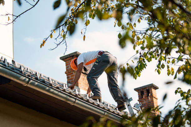 Residential Roof Replacement in Zachary, LA