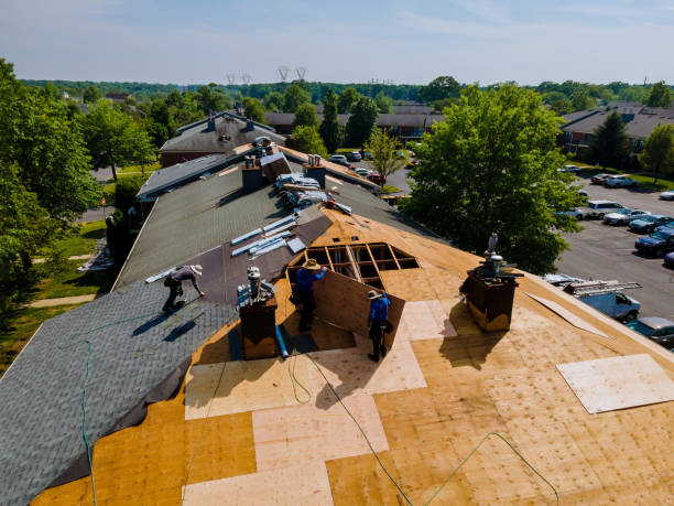 Quick and Trustworthy Emergency Roof Repair Services in Zachary, LA