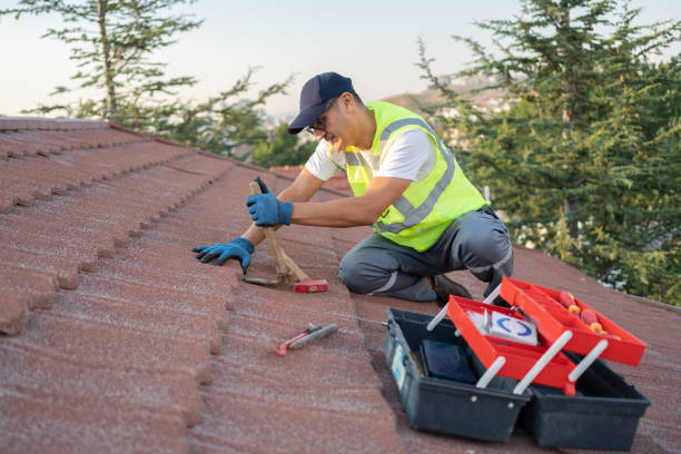 Best Roof Gutter Cleaning  in Zachary, LA
